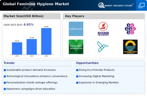 Feminine Hygiene Market Infographic