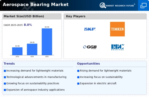 Aerospace Bearing Market Infographic