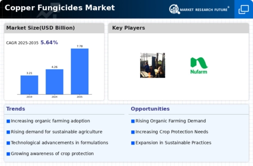 Copper Fungicides Market Infographic