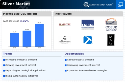 Silver Market Infographic