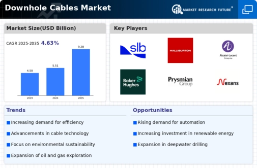 Downhole Cables Market Infographic