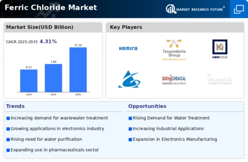 Ferric Chloride Market Infographic