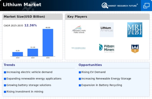 Lithium Market Infographic