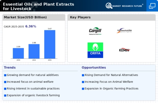 Essential Oils Plant Extracts Livestock Market Infographic