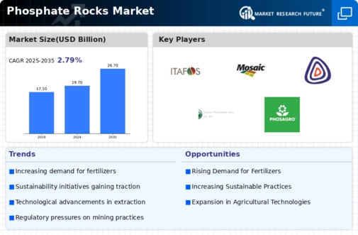 Phosphate Rocks Market Infographic