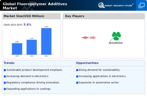 Fluoropolymer Additives Market Infographic