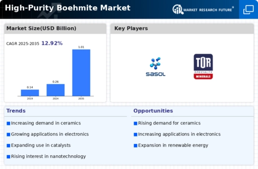 High Purity Boehmite Market Infographic