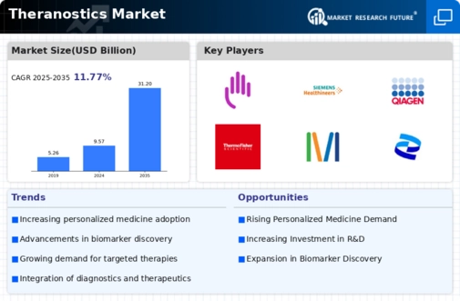 Theranostics Market Infographic