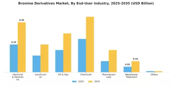 Bromine Derivatives Market Segment Image 2