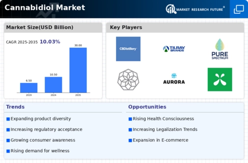 CBD Market Infographic