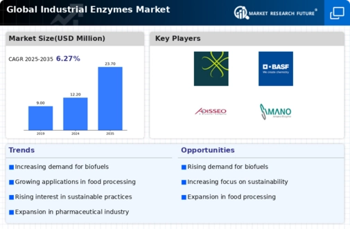 Industrial Enzymes Market Infographic