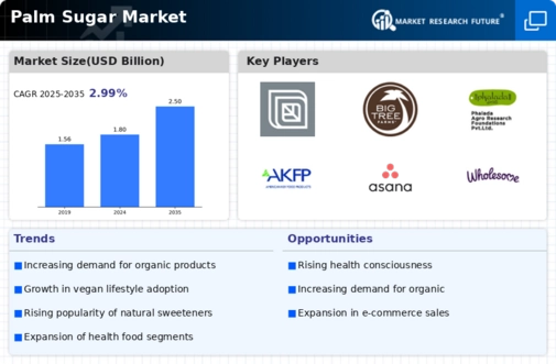 Palm Sugar Market Infographic