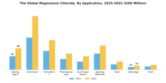Magnesium Chloride Market Segment Image 0