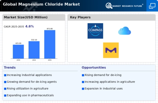 Magnesium Chloride Market Infographic