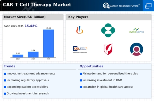 CAR T Cell Therapy Market Infographic