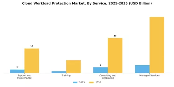 Cloud Workload Protection Market Segment Image 1