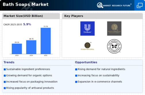 Bath Soaps Market Infographic