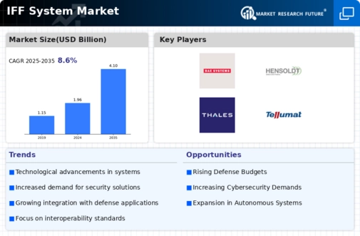 IFF System Market Infographic