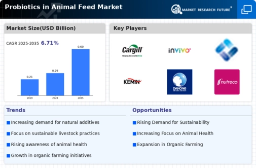 Probiotics Animal Feed Market Infographic