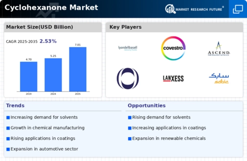 Cyclohexanone Market Infographic