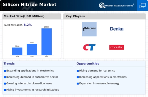 Silicon Nitride Market Infographic