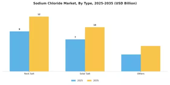 Sodium Chloride Market Segment Image 0