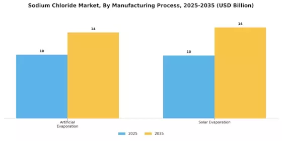 Sodium Chloride Market Segment Image 1
