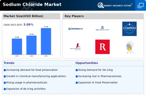 Sodium Chloride Market Infographic