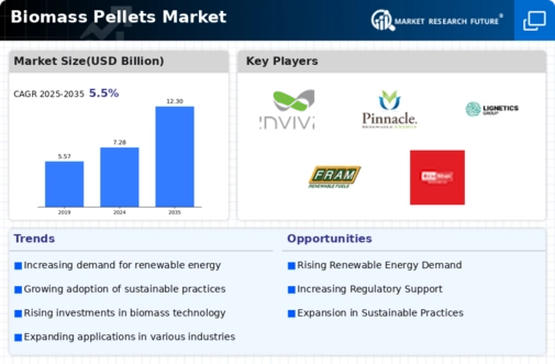 Biomass Pellets Market Infographic