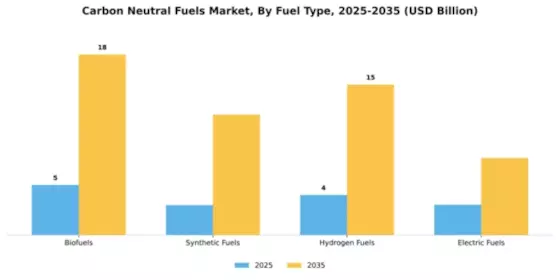 Carbon Neutral Fuels Market Segment Image 3