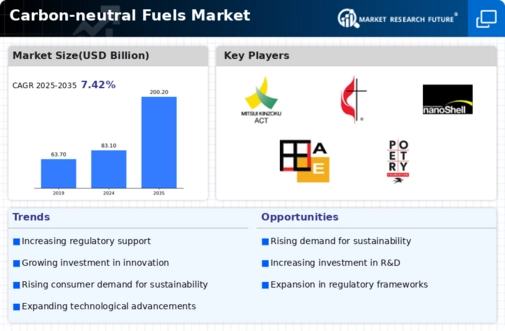 Carbon Neutral Fuels Market Infographic