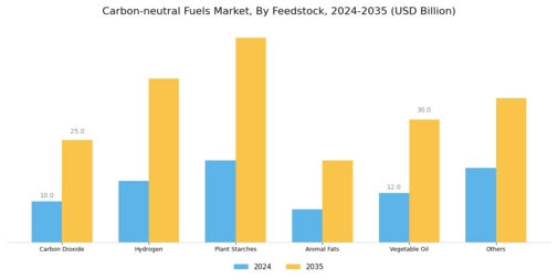 Carbon Neutral Fuels Market Segment Image 0