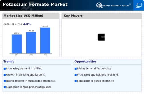 Potassium Formate Market Infographic
