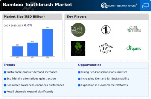 Bamboo Toothbrush Market Infographic