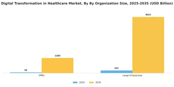 Digital Transformation Healthcare Market Segment Image 2