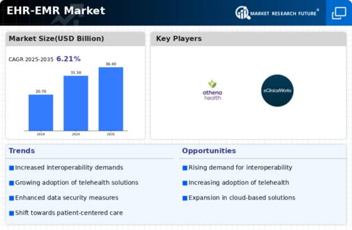 EHR EMR Market Infographic
