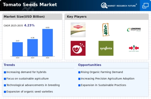 Tomato Seeds Market Infographic