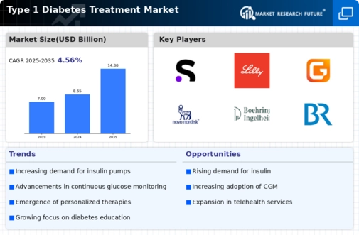Type 1 Diabetes Treatment Market Infographic