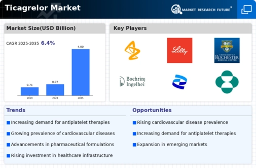 Ticagrelor Market Infographic