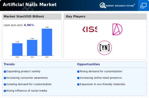 Artificial Nails Market Infographic