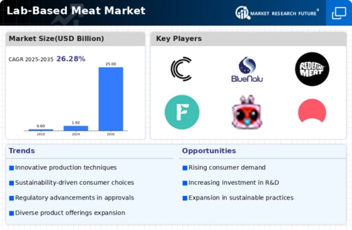 Lab Based Meat Market Infographic