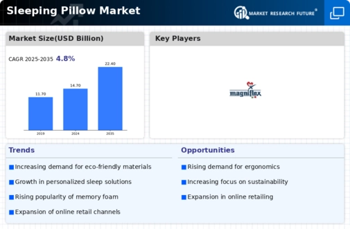 Sleeping Pillow Market Infographic