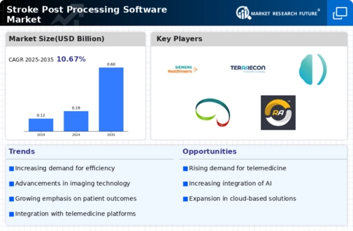 Stroke Post Processing Software Market Infographic