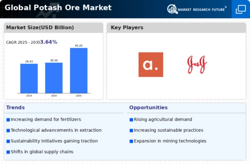 Potash Ore Market Infographic