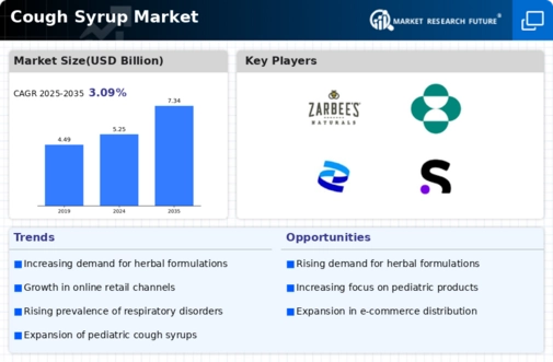 Cough Syrup Market Infographic