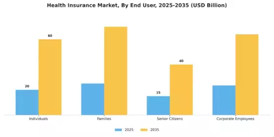 Health Insurance Market Segment Image 2