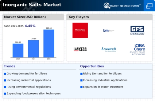 Inorganic Salt Market Infographic