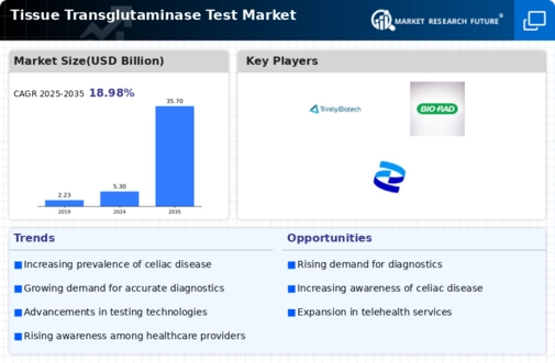Tissue Transglutaminase Test Market Infographic