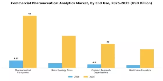 Commercial Pharmaceutical Analytics Market Segment Image 3