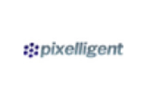 Nanocomposites Market key player